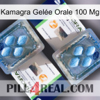 Kamagra Gelée Orale 100 Mg viagra5